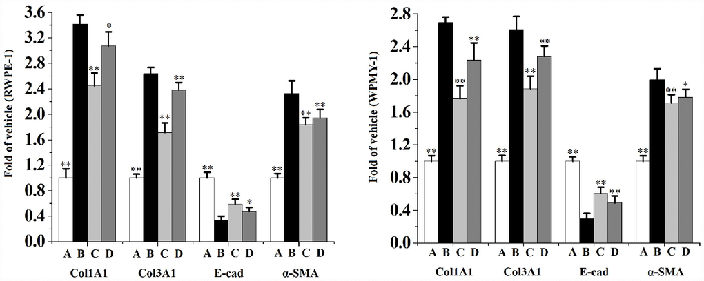The mRNA levels of Col1A1, Col3A1, E-cad and α-SMA in RWPE-1 and WPMY-1 cells (n=4 per group).**p*p