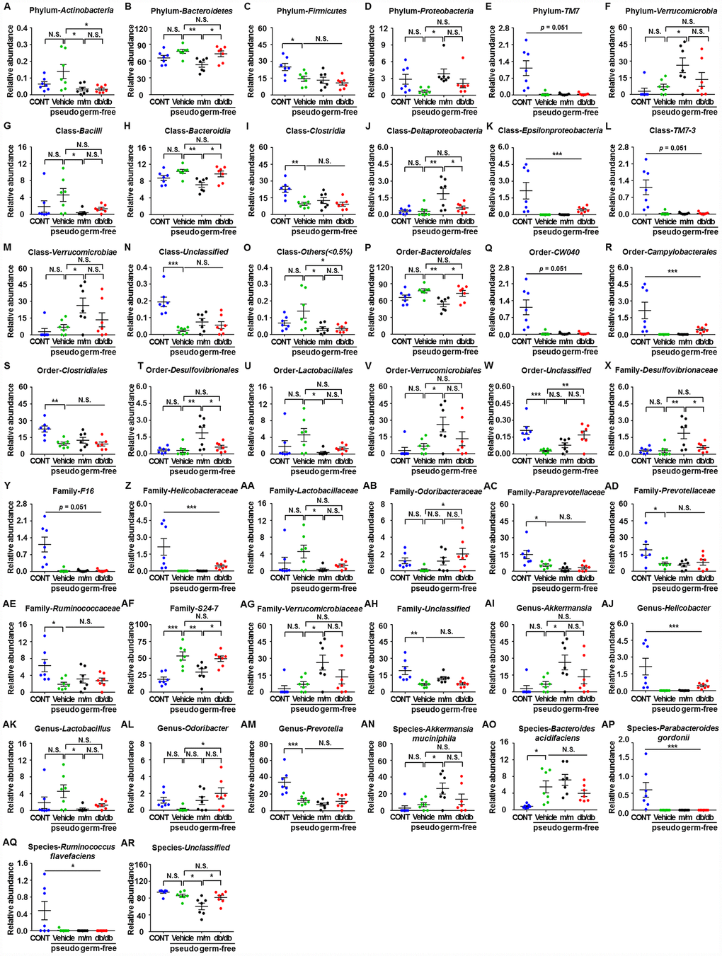 Differences in the relative abundances of gut microbiota composition among pseudo-germ-free mice after transplantation from db/db and m/m mice. (A) Phylum Actinobacteria (F3,24 = 4.607, P B) Phylum Bacteroidetes (F3,24 = 5.458, P C) Phylum Firmicutes (F3,24 = 5.936, PD) Phylum Proteobacteria (F3,24 = 3.204, PE) Phylum TM7 (Fisher’s exact test; P=0.051); (F) Phylum Verrucomicrobia (F3,24 = 4.348, P G) Class Bacilli (F3,24 = 2.968, P = 0.0521); (H) Class Bacteroidia (F3,24 = 5.465, PI) Class Clostridia (F3,24 = 8.279, P J) Class Deltaproteobacteria (F3,24 = 7.044, P K) Class Epsilonproteobacteria (Fisher’s exact test; PL) Class TM7-3 (Fisher’s exact test; P = 0.051); (M) Class Verrucomicrobiae (F3,24 = 4.348, P N) Class Unclassified (F3,24 = 12.87, P O) Class Others (3,24 = 4.388, P P) Order Bacteroidales (F3,24 = 5.465, P Q) Order CW040 (F3,24 = 12.36, P R) Order Campylobacterales (Fisher’s exact test; P S) Order Clostridiales (F3,24 = 8.316, P T) Order Desulfovibrionales (F3,24 = 7.044, P U) Order Lactobacillales (F3,24 = 2.97, P=0.0520); (V) Order Verrucomicrobiales (F3,24 = 4.348, P W) Order Unclassified (F3,24 = 9.449, PX) Family Desulfovibrionaceae (F3,24 = 7.044, P Y) Family F16 (F3,24 = 12.36, P Z) Family Helicobacteraceae (Fisher’s exact test; P AA) Family Lactobacillaceae (F3,24 = 3.018, PAB) Family Odoribacteraceae (F3,24 = 3.087, PAC) Family Paraprevotellaceae (F3,24 = 7.505, P AD) Family Prevotellaceae (F3,24 = 4.557, P AE) Family Ruminococcaceae (F3,24 = 4.012, P AF) Family S24-7 (F3,24 = 11.79, P AG) Family Verrucomicrobiaceae (F3,24 = 4.348, P AH) Family Unclassified (F3,24 = 7.609, P AI) Genus Akkermansia (F3,24 = 4.348, P AJ) Genus Helicobacter (Fisher’s exact test; P AK) Genus Lactobacillus (F3,24 = 3.018, PAL) Genus Odoribacter (F3,24 = 3.087, P AM) Genus Prevotella (F3,24 = 12.57, P AN) Species Akkermansia muciniphila (F3,24 = 4.348, P AO) Species Bacteroides acidifaciens (F3,24 = 6.558, P AP) Species Parabacteroides gordonii (Fisher’s exact test; P AQ) Species Ruminococcus flavefaciens (Fisher’s exact test; P AR) Species Unclassified (F3,24 = 7.505, P PPP