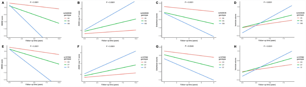 Impact of rs4420638 and rs157582 on longitudinal measurements in cognitive scores and brain structures. Associations of rs4420638 with longitudinal measurements in Mini-mental State Examination (MMSE) score (A), Alzheimer Disease Assessment Scale-cognitive subscale 11 (ADAS-cog 11) score (B), entorhinal volume (C) and ventricular volume (D) over time. Associations of rs157582 with longitudinal measurements in MMSE score (E), ADAS-cog 11 score (F), entorhinal volume (G) and ventricular volume (H) over time.