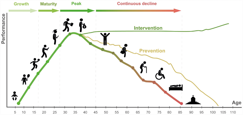 The general course of human life in the health and performance context. Preventative strategies may increase lifespan and healthspan. Potential restorative interventions reversing the many biological clocks back to the young productive healthy state may help prevent loss of function and possibly result in future performance gains.