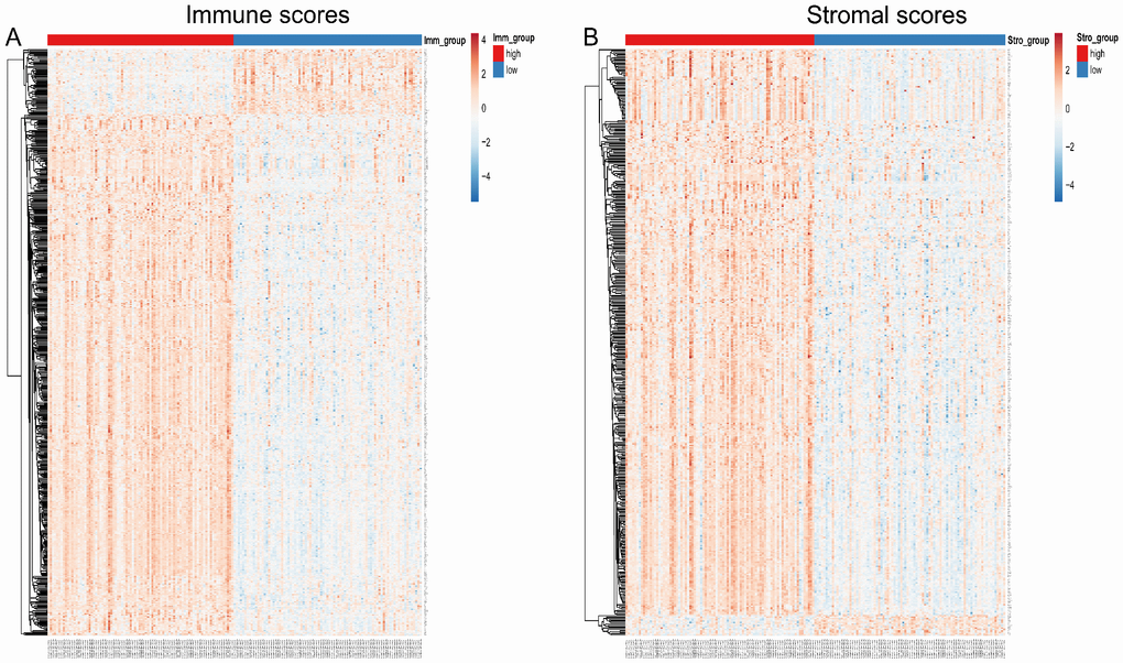 Heatmap of differentially expressed genes in the high and low immune/stromal score groups. (A) Immune scores (high score, left; low score, right. |log FC| > 1.5, q-value B) Stromal scores (high score, left; low score, right. |log FC| > 1.5, q-value 
