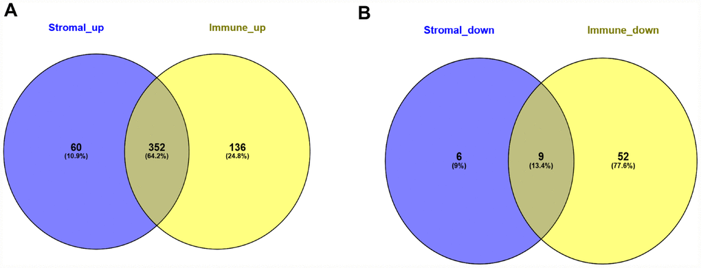 Common differentially expressed genes detected for immune and stromal scores. (A) Commonly upregulated DEGs. (B) Commonly downregulated DEGs.