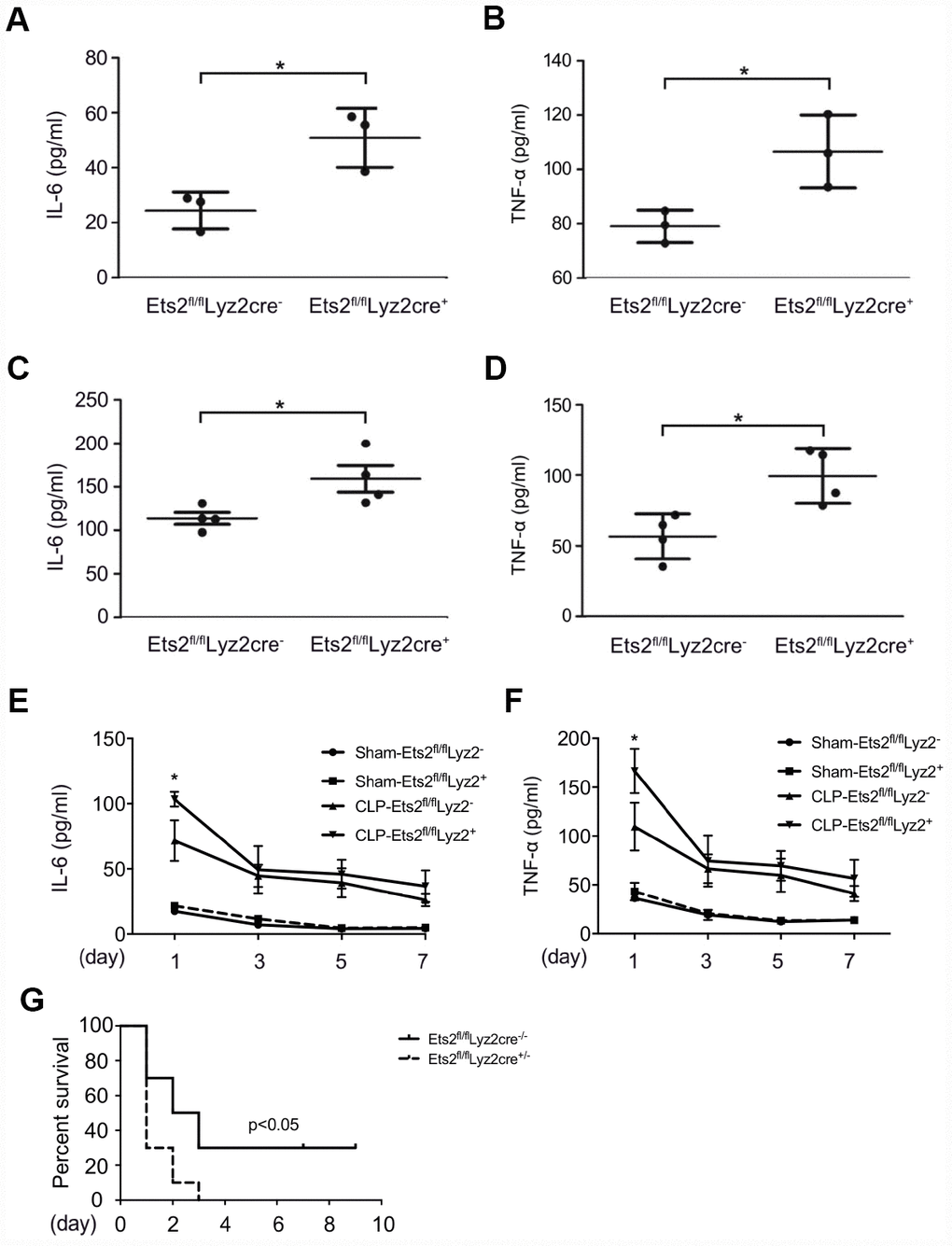 Ets2 inhibits LPS-induced IL-6 and TNF-α production and improves the survival of CLP-induced sepsis in vivo. (A, B) ELISA assay of IL-6 (A) and TNF-α (B) in the serum of Ets2fl/flLyz2cre− or Ets2fl/flLyz2cre+ mice, intraperitoneally injected with LPS (1 μg/g body weight) for 5 h (n=3 per phenotype). (C, D) ELISA assay of IL-6 (C) and TNF-α (D) in the serum of Ets2fl/flLyz2cre− or Ets2fl/flLyz2cre+ mice at 6 h after CLP surgery (n=4 per phenotype). (E–G) Continuous IL-6 (E) and TNF-α (F) at postoperative day 1, 3, 5, 7, and survival rate (G) of Ets2fl/flLyz2cre− or Ets2fl/flLyz2cre+ mice given CLP or Sham surgery (n=10 per phenotype). Data are shown as the mean ± s.e.m. Student’s t-test compared with the Ets2fl/flLyz2cre- group for ELISA experiments. A log-rank test was used for survival data. *, P