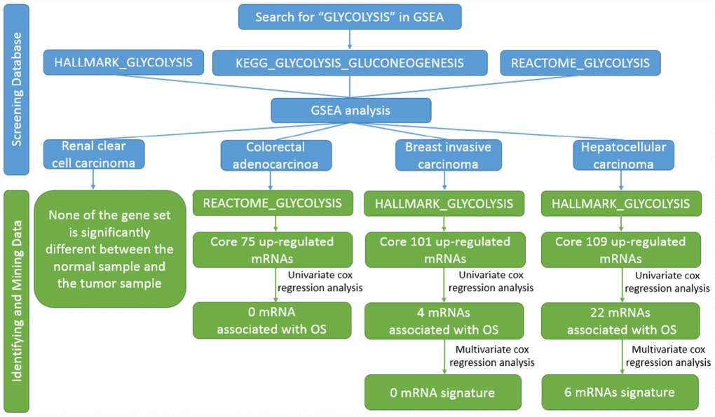 Flow chart of finding six mRNAs signature in HCC.