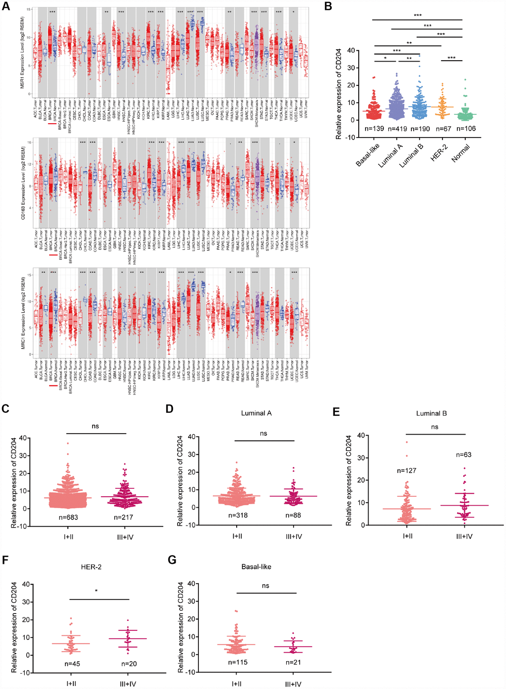 Comparison of CD204, CD163, and CD206 mRNA expressions between tumors and normal tissues (A) comparison of CD204 mRNA expression between different subtypes (B) of all cases of breast cancer between stage I-II and III-IV (C), and in each subtype, including luminal A (D), luminal B (E), HER2-positive (F), and basal-like (G) cancers.
