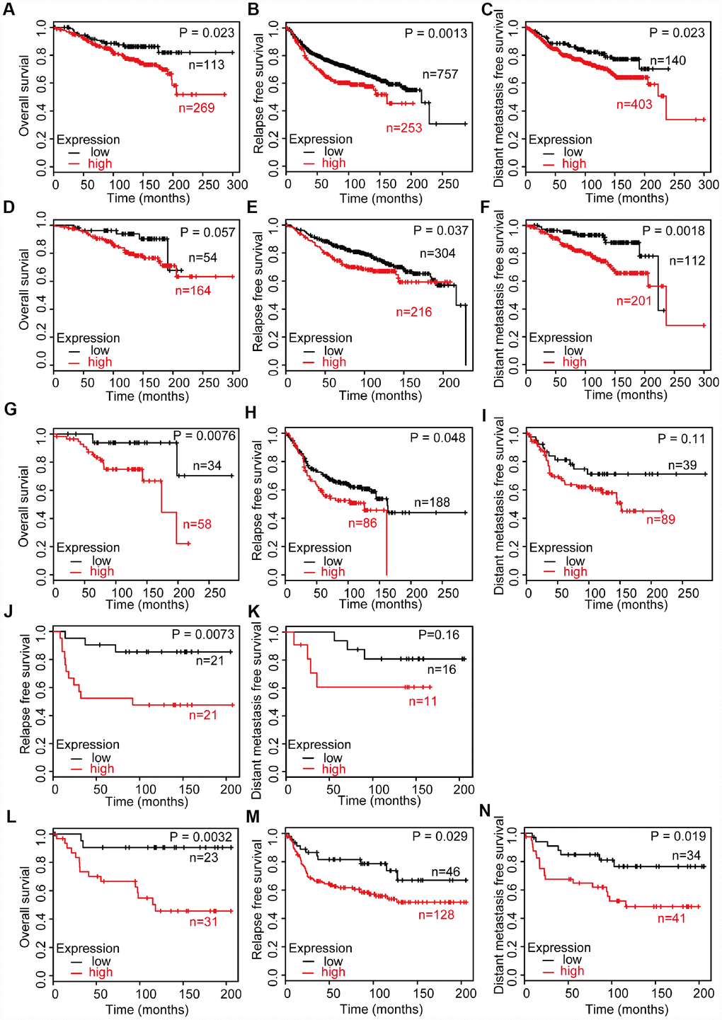 Survival analysis of breast cancer with high and low CD204 expression statuses among untreated patients, including all cases of breast cancer (A–C), luminal A (D–F), luminal B (G–I), HER2-positive (J, K), and basal-like (L–N) subtype.