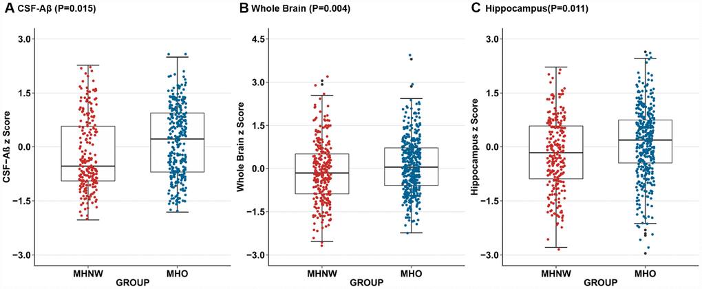 Adjusted for age, sex, APOE Ɛ4 status, cognitive diagnosis, education, tobacco and alcohol use, and low-density lipoprotein cholesterol, compared to MHNW group, MHO group had higher CSF-Aβ concentrations(P=0.015) (A) on the baseline as well as larger whole brain volumes(P=0.004) (B) and hippocampal volumes (P=0.011) (C) after additional correction for the intracranial volume. Abbreviations: MHNW, metabolically healthy normal weight; MHO, metabolically healthy overweight/obese; CSF, cerebrospinal fluid; Aβ, Amyloid β.