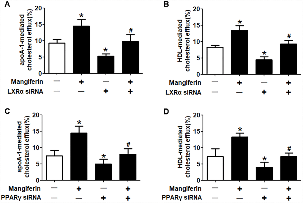 Mangiferin promotes cellular cholesterol efflux through the upregulation of PPARγ and LXRα expression. RAW264.7 macrophage-derived foam cells were pretreated with LXRα siRNA (A, B) or PPARγ siRNA (C, D) and subsequently treated with 20 μM mangiferin for 24 h. LSC assays were performed to detect apoA-1- or HDL-mediated [3H]-cholesterol efflux. All results were obtained from three independent experiments, each performed in triplicate. Data are presented as the mean ± SEM (n =3/group). *P vs. control group; #P vs. mangiferin only group.