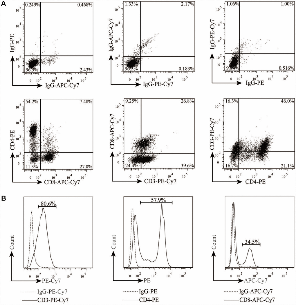 Characterization of T lymphocytes from PBMCs. (A–B) T cell phenotypes and subsets were examined by flow cytometry after labeling with anti-CD3-PE-Cy7, anti-CD4-PE, and anti-CD8-APC-Cy7.