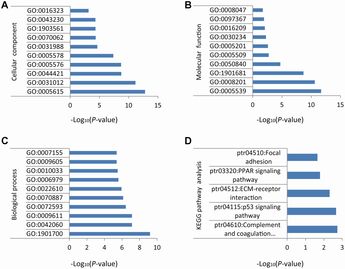 Identification Of Differentially Expressed Genes In Non-small Cell Lung ...