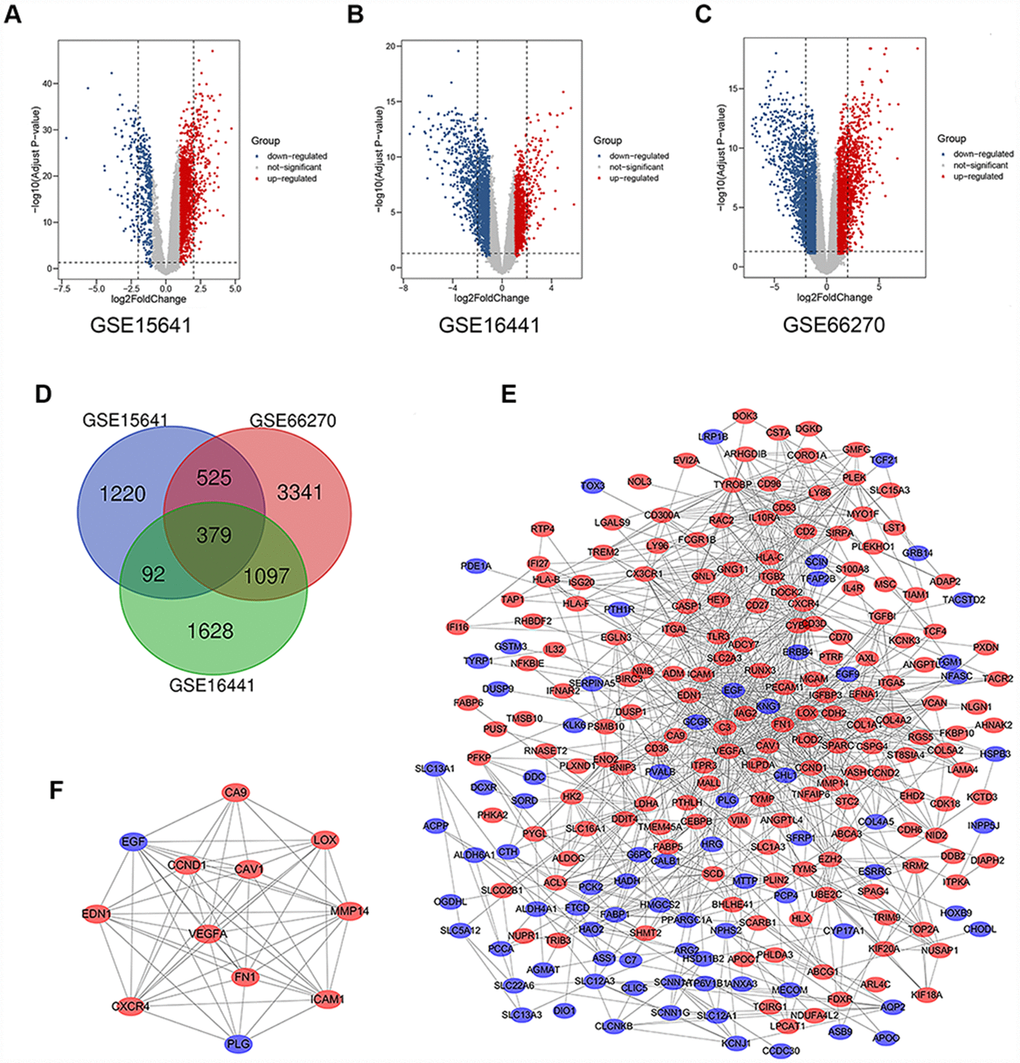 Differential expression of data between two sets of samples, Venn diagram, PPI network and the most significant module of DEGs. (A) GSE15641 data, (B) GSE16441 data, and (C) GSE66270 data. The red points represent upregulated genes screened on the basis of fold change > 1.0 and a corrected P-value of D) DEGs were selected with a |fold change| >1 and P-value E) The PPI network of DEGs was constructed using Cytoscape. (F) The most significant module was obtained from PPI network with 12 nodes and 58 edges. Upregulated genes are marked in light red; downregulated genes are marked in light blue. Abbreviations: FC: fold change; GEO: Gene Expression Omnibus; DEGs: differentially expressed genes; PPI: protein–protein interaction.