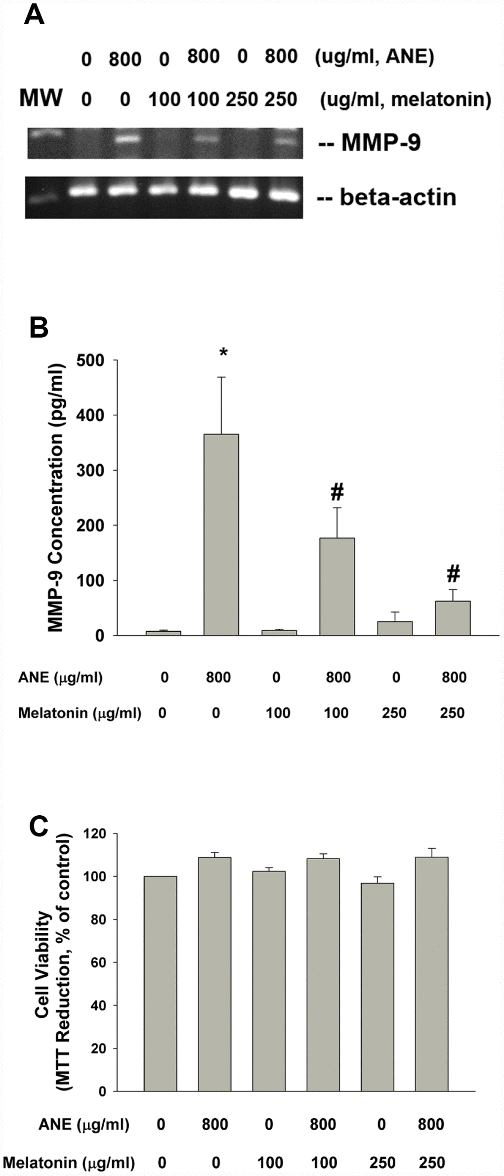 Effect of melatonin on ANE-induced MMP-9 expression and secretion. (A) Effect of melatonin (100 and 250 μg/ml) on ANE (800 μg/ml)-induced MMP-9 mRNA expression (one representative result was shown) and (B) Effect of melatonin on ANE-induced MMP-9 secretion in SAS oral cancer epithelial cells. Results were expressed as Mean ± SE (pg/ml). (C) Effect of melatonin on ANE-induced changes in cell viability of SAS cells (as % of control). *denotes statistically significant difference when compared with control. #denotes statistically significant difference when compared with ANE-treated group.