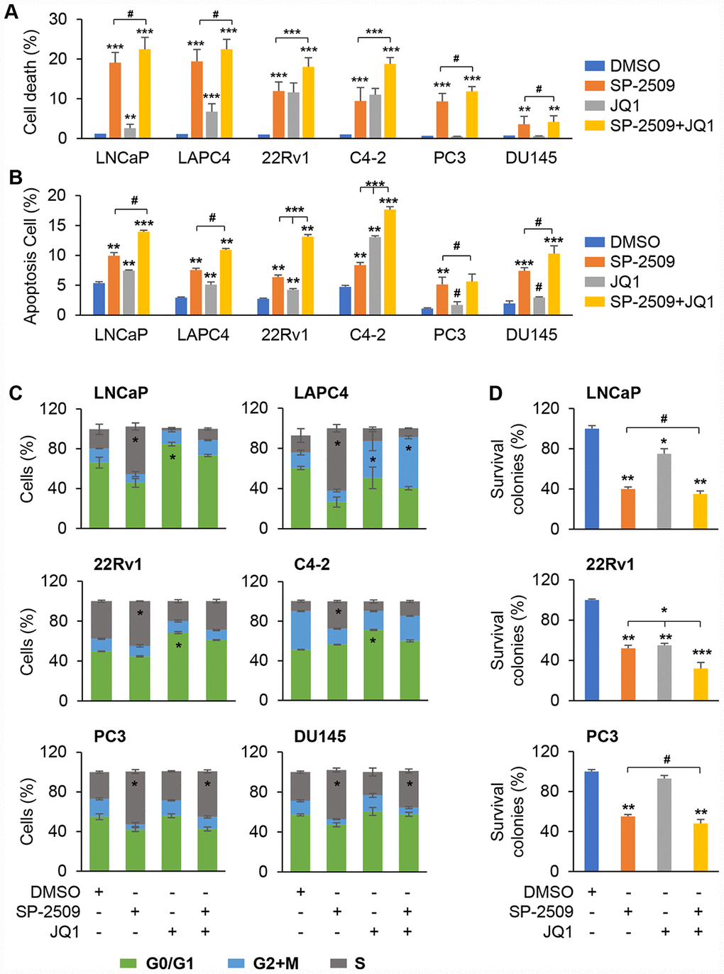 Inhibition of LSD1 induces cell apoptosis and arrests cells in S phase but inhibition of BRD4 exhibits no apoptotic effect in PC3 and DU145 cells. (A–B) Analysis of apoptosis in LNCaP, LAPC4, 22Rv1, C4-2, PC3 and DU145 cells after 72 h treatment with 1 μM JQ1 or SP-2509 alone, or in combination. Cell death was assessed using propidium iodide (PI) staining (A) or Apoptosis was assessed by Annexin-V and PI staining followed by FACS analysis (B). (C) Graphic representation of cell cycle distribution for LNCaP, LAPC4, 22Rv1, C4-2, PC3 and DU145 cells after 72 h treatment with 1 μM JQ1 or SP-2509 alone, or in combination. Duration of each cell cycle stage was assessed using PI staining followed by FACS analysis. (D) Colony formation for cells after 72 h treatment with 1 μM JQ1 or SP-2509 alone, or in combination. Graphic data are the means ± SD of four replicate experiments. Statistical significance are determined by ANOVA with: * indicates P 