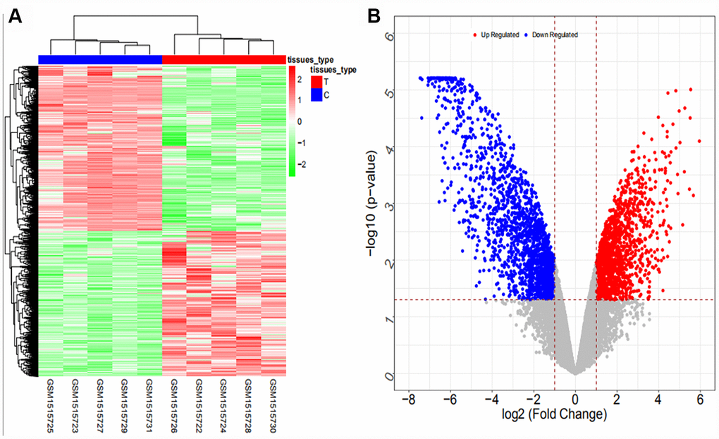 Heat map (A) and volcano map (B) of differentially expressed mRNAs in the GSE61850 dataset.