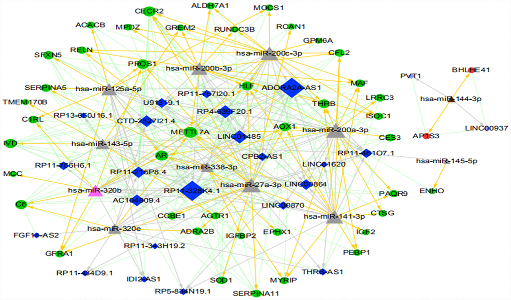 The ICC-related ceRNA network map (green circles indicate the downregulated mRNAs, red circles indicate the upregulated mRNA, dark blue diamonds indicate the downregulated lncRNA, light purple diamonds indicate the upregulated lncRNA, pink triangles indicate the upregulated miRNA, brown triangles indicate the downregulated miRNA, and gray triangles indicate that upregulation or downregulation of miRNAs cannot be determined. The gray arrow indicates the regulatory relationship between miRNA and lncRNA, the yellow arrow indicates the regulatory relationship between miRNA and mRNA, and the green dotted line indicates the synergistic expression relationship between lncRNA and mRNA).