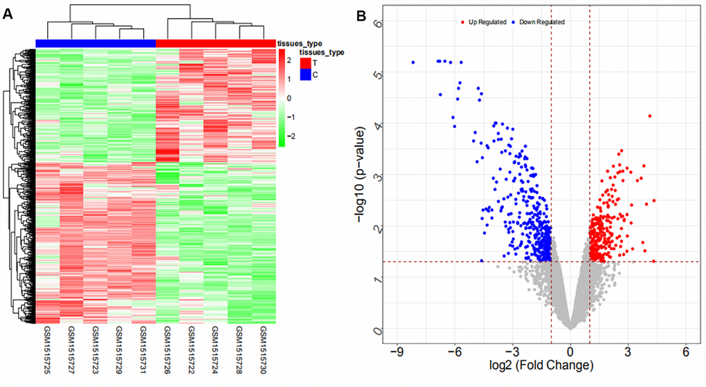 Heat map (A) and volcano map (B) of differentially expressed lncRNAs in the GSE61850 dataset.