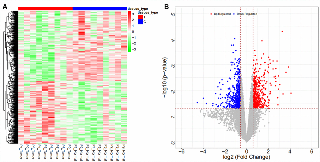 Heat map (A) and volcano map (B) of differentially expressed mRNAs in the GSE103909 dataset.