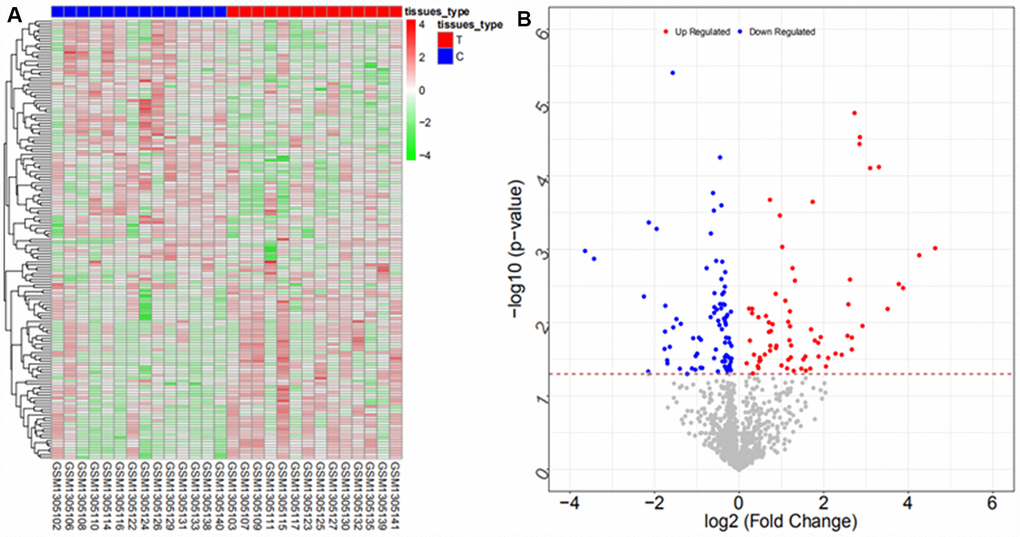 Heat map (A) and volcano map (B) of differentially expressed miRNAs in the GSE53992 dataset