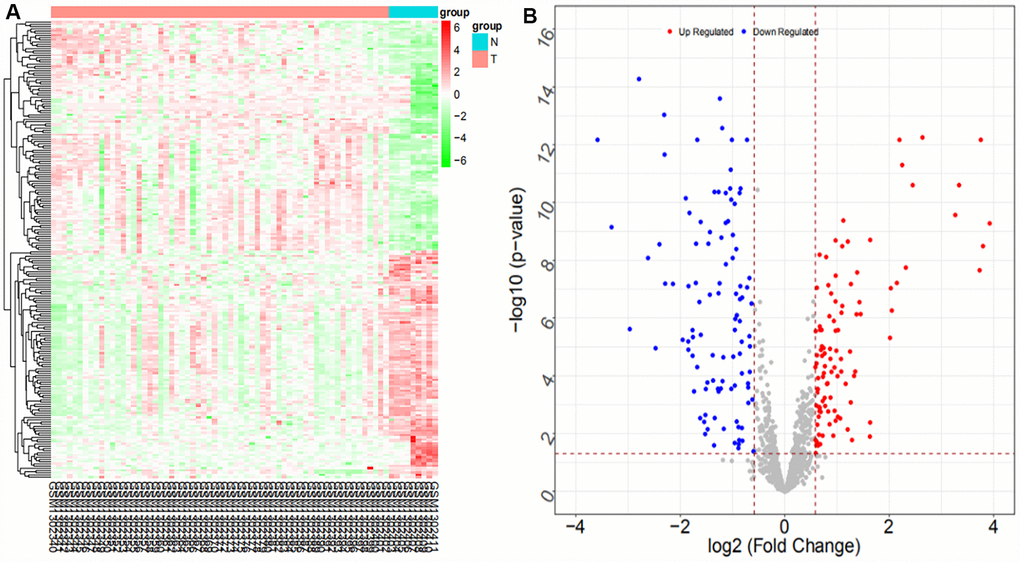 Heat map (A) and volcano map (B) of differentially expressed miRNAs in the GSE53870 dataset