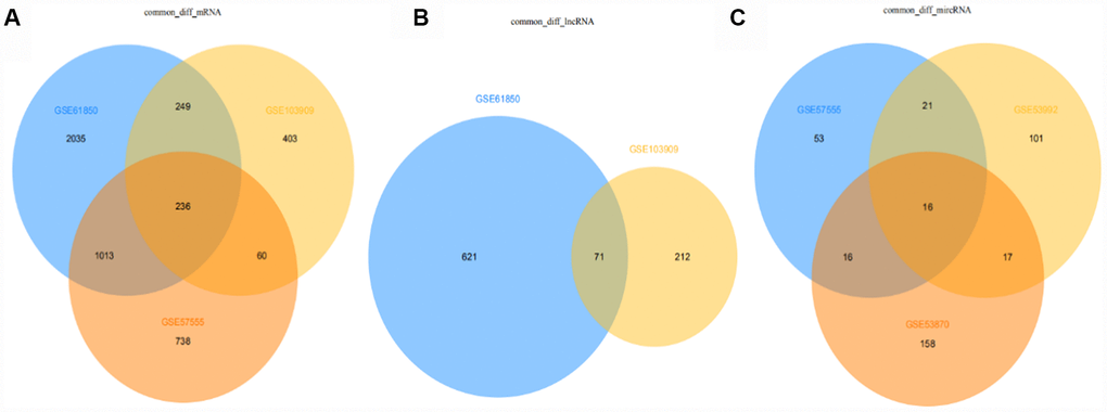 Venn diagram of differentially expressed mRNAs, lncRNAs, miRNAs in all datasets (from A to B to C: mRNA, lncRNA, miRNA).