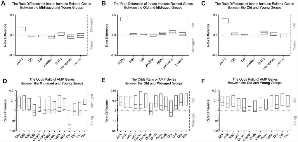 Comparison of innate immunity gene expression variances in WT flies with age among GEO datasets. The occurrence of high expression was introduced as a statistical parameter to compare the relative expression quantity of immune-related genes across age groups. The upper figures exhibit the rate differences among different classes of genes associated with innate immunity between the middle-aged and young (A), old and middle-aged (B), and old and young (C) groups, clearly demonstrating that AMPs had the most significant differential expression. The expression levels of other gene clusters were generally unchanged. Transcriptional differences in AMP genes were subsequently compared using meta-analysis. The odds ratio between the middle-aged and young (D), old and middle-aged (E), and old and young (F) groups, are shown in the lower graphs, indicating an increased expression of AMPs in the head of WT Drosophila during aging.