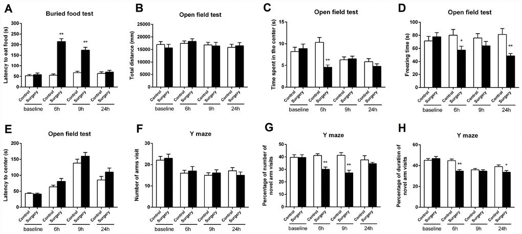 Surgery/Anesthesia impaired the behavior of aged mice at 6, 9, and 24 hours postoperatively. (A) Surgery/Anesthesia increased the latency of mice to eat the food as compared to the control condition in the buried food test at 6 and 9 hours postoperatively. Surgery/Anesthesia did not significantly alter the latency of mice to eat food as compared to the control condition at 24 hours postoperatively. (B) Surgery/Anesthesia did not significantly change the total distance travelled by mice in the open field test as compared to the control condition at 6, 9, and 24 hours postoperatively. (C) Surgery/Anesthesia significantly decreased the time spent in the center of the open field as compared to the control condition at 6 but neither 9 nor 24 hours postoperatively. (D) Surgery/Anesthesia significantly decreased the freezing time in the open field test as compared to the control condition at 6 and 24 but not 9 hours postoperatively. (E) Surgery/Anesthesia did not significantly change the time to reach the center (latency to the center) in the open field test as compared to the control condition at 6, 9, and 24 hours postoperatively. (F) Surgery/Anesthesia did not significantly change the number of arm visits in the Y maze test as compared to the control condition at 6, 9, and 24 hours postoperatively. (G) Surgery/Anesthesia significantly decreased the number of entries in the novel arm in the Y maze test as compared to the control condition at 6 and 9 but not 24 hours postoperatively. (H) Surgery/Anesthesia significantly decreased the duration in the novel arm in the Y maze test as compared to the control condition at 6 and 24 but not 9 hours postoperatively. The data are plotted as the mean ± standard error of the mean for each group (n = 9). *p **p 