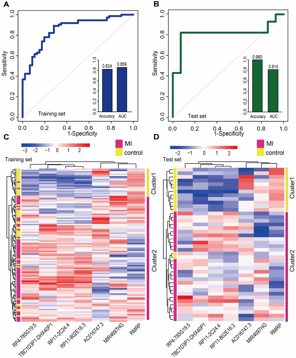 Classification performance of diagnostic lncRNA biomarkers for MI. Performance evaluation of the 7 diagnostic lncRNA biomarkers in the training (A) and test (B) sets using 5-fold cross-validation. Hierarchical clustering heat map of the expression profiles of 7 lncRNAs in (C) the training set (119 samples) and (D) the test set (42 samples).