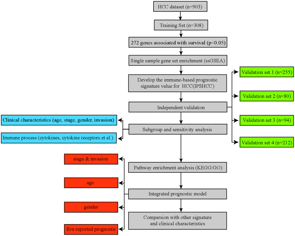 Flowchart of the study. A total of 903 HCC patients from five separate datasets were included in the analysis. We developed the immune-based prognostic signature for HCC (IPSHCC) using the training dataset and validated it in five independent validation subsets. We also integrated IPSHCC with stage, invasion, age, and gender to improve its prognostic value.