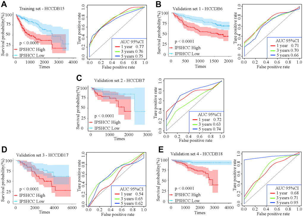Kaplan-Meier survival analyses of IPSHCC. Patients in all five datasets were assigned to low-immune (blue) and high-immune (red) risk groups using median IPSHCC value as the cutoff. (A) In the training set, the survival probability of the “IPSHCC Low” group is higher than the “IPSHCC High” group (p B–E) The IPSHCC prognostic signature was further validated in four independent validation sets. In each independent validation subset, survival probabilities were higher for the “IPSHCC Low” group than the “IPSHCC High” group (p  0.65. In validation set 2, the 1-, 3-, and 5-year AUCs were 0.72, 0.63, and 0.74, respectively. In validation set 3, the 1-, 3-, and 5-year AUCs were ≤ 0.65.