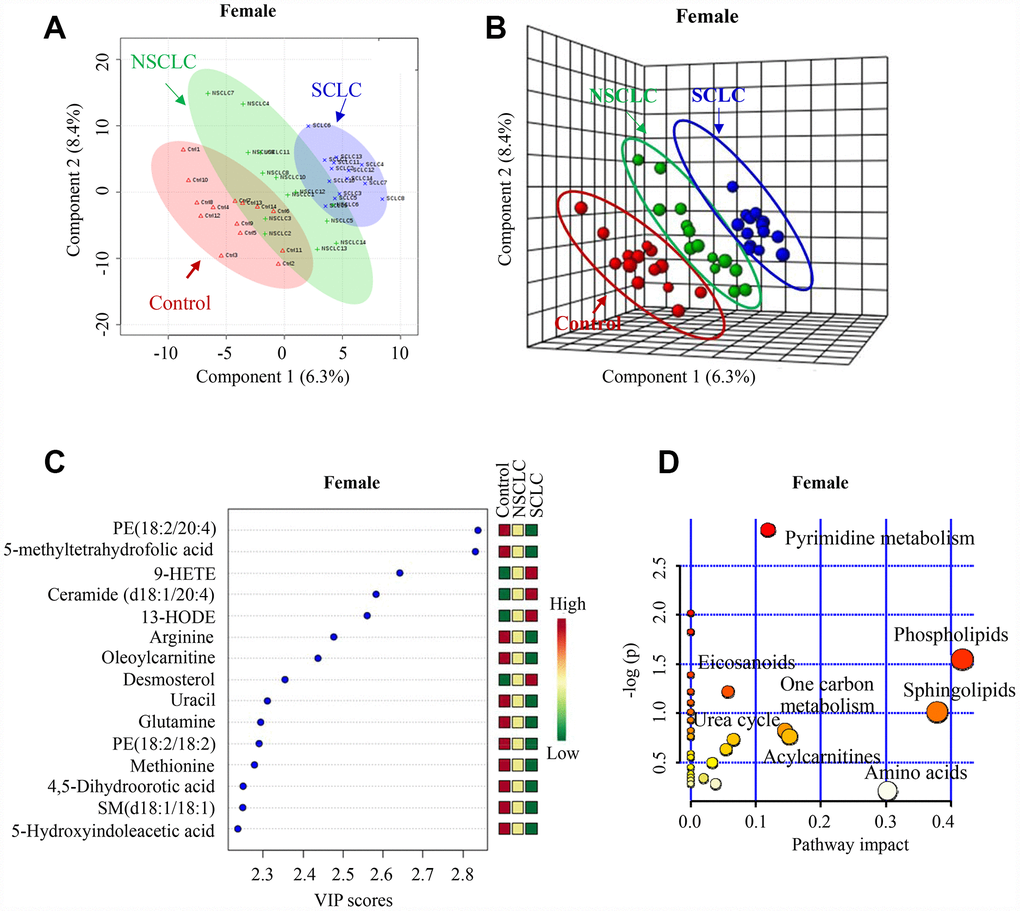 The unique metabolic features in the DBS of female SCLC patients compared to NSCLC and noncancer controls. (A, B) Multivariate analysis of metabolomic data using PLS-DA resulted in a clear separation of metabolic features among SCLC, NSCLC and the control group in females. (A) 2-D plot. (B) 3-D plot. (C) The top 15 most differential metabolites in female patients with SCLC revealed by VIP analysis. VIP>1.5 was considered as statistically significant. The VIP results were also verified by univariate ANOVA analysis. (D) The top pathways disturbed in female SCLC patients. Abbreviations: DBS = dried blood spot; NSCLC = non-small cell lung cancer; PE = phosphatidylethanolamine; 9-HETE = 9-hydroxyeicosatetraenoic acid; 13-HODE = 13-Hydroxyoctadecadienoic acid; SM = Sphingomyelin; PLS-DA = partial least square discriminant analysis; SCLC = small cell lung cancer; VIP = variance in projection.