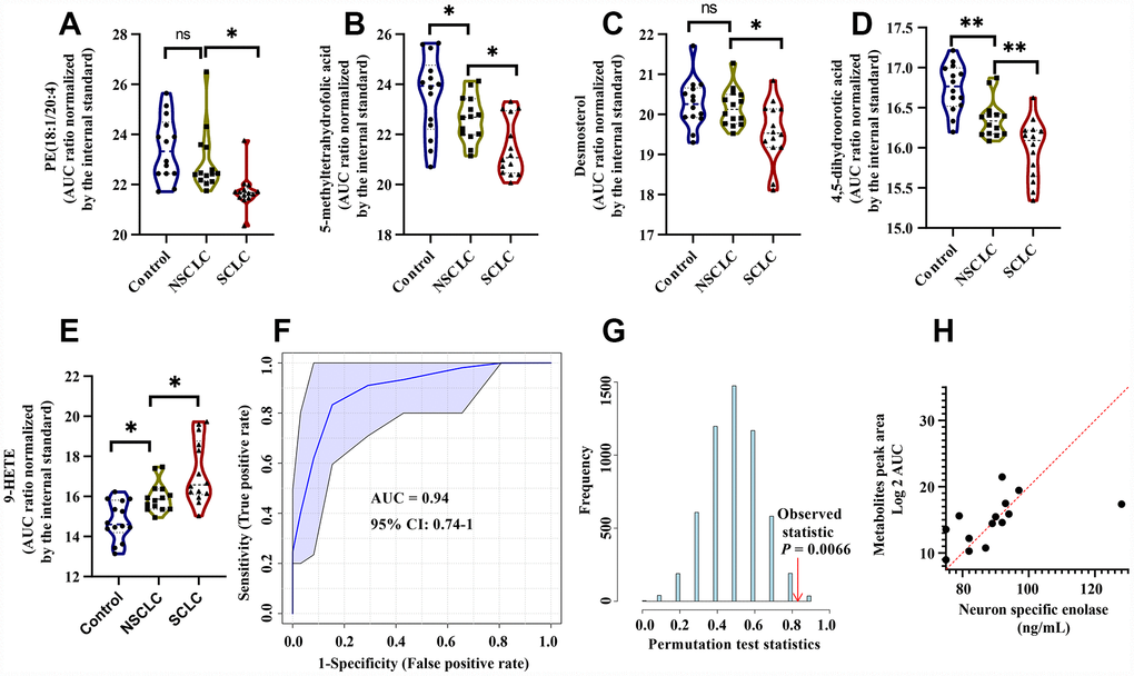 The diagnostic performance of the developed multianalyte discriminant model for female SCLC in the discovery set. (A–E) Violin plots showed the relative levels of five selected metabolites in the female discriminant model. (A) PE (18:1/20:4); (B) 5-Methyltetrahydrofolic acid; (C) Desmosterol; (D) 4, 5-Dihydroorotic acid and (E) 9-HETE. (F) ROC curve analysis for distinguishing female SCLC patients from female NSCLC and controls. (G) The random permutation test to examine the robustness of the female discriminant model. (H) Multiple linear regression analysis showed a significant correlation between the five selected metabolites and NSE in female SCLC patients. R2 = 0.56, P 