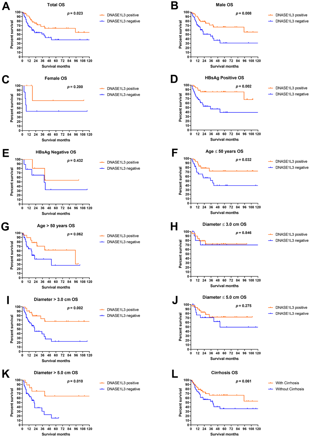 Overall survival analyses by DNASE1L3 expression level. Overall survival analyses according to DNASE1L3 status in all patients (A), male (B), female (C), patients with positive HBsAg (D), patients with negative HBsAg (E), patients not older than 50 years (F), patients older than 50 years (G), patients with HCC smaller than 3 cm in diameter (H), patients with HCC bigger than 3 cm in diameter (I), patients with HCC smaller than 5 cm in diameter (J), patients with HCC bigger than 5 cm in diameter (K) and patients with cirrhosis (L).