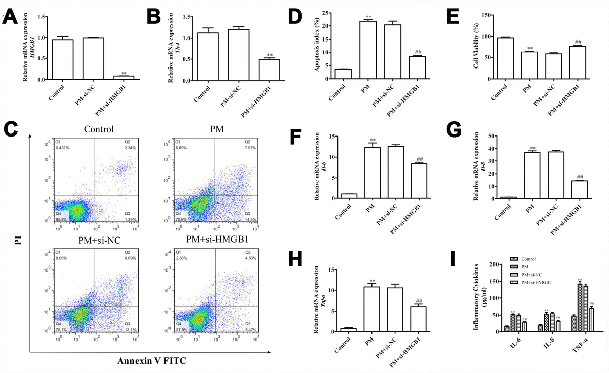 Fibroblast growth factor 10 alleviates particulate matter-induced lung ...