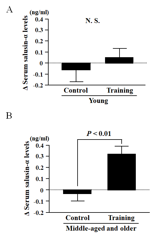Comparison of the change in serum salusin-α levels before and after an eight-week intervention of aerobic exercise training (Training group) or sedentarism (Control group) in Young (A) and Middle-aged and older (B) subjects. Data are expressed as means ± SE.