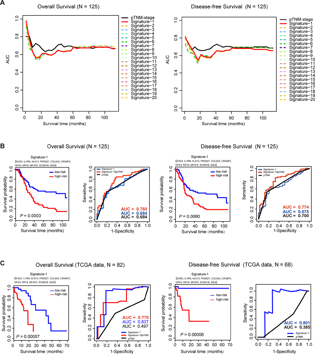 Survival analysis of 125 ESCC samples and TCGA data sets. (A), Time-dependent AUC curves of overall survival (OS) and disease-free survival (DFS) for the top 20 signatures in 125 ESCC samples. (B) For the 125 ESCC samples, Kaplan-Meier curves for overall survival (OS) and disease-free survival (DFS) for Signature-1. ROC analysis shows a better prognostic efficiency of Signature-1 combined with pTNM-stage compared with Signature-1 or pTNM-stage. (C) In the TCGA dataset, Kaplan-Meier curves of overall survival (OS) and disease-free survival (DFS)for Signature-1. ROC analysis shows better prognostic efficiency of Signature-1 compared with Signature-1 combined with pTNM-stage or pTNM-stage alone.