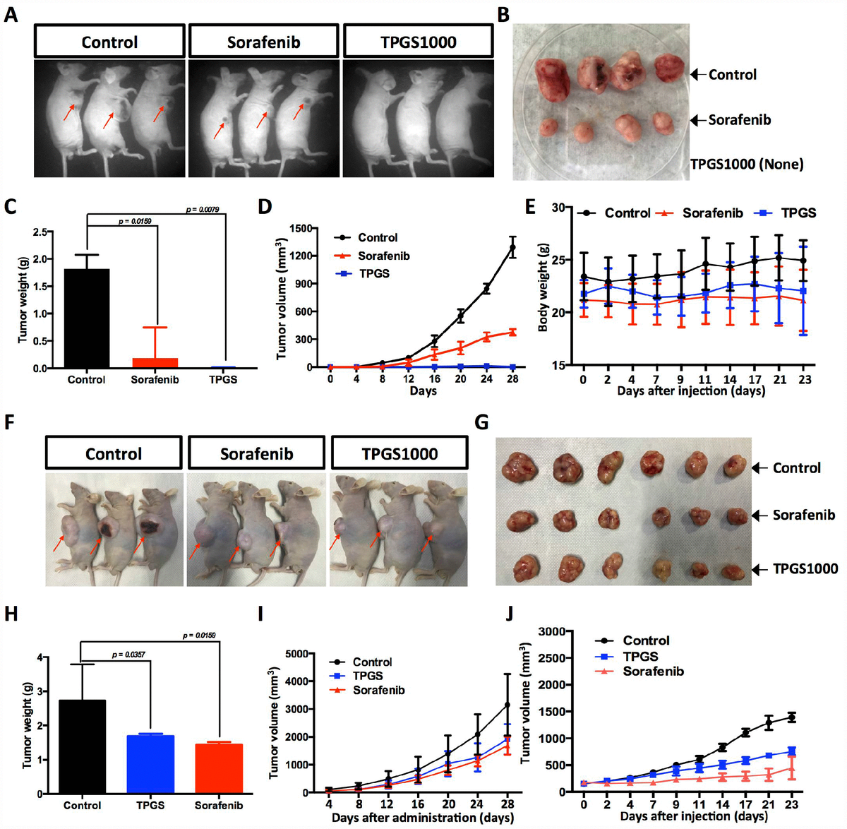 TPGS-1000 Exhibits Potent Anticancer Activity For Hepatocellular ...