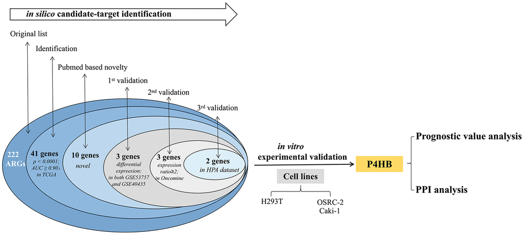 Procedure for the selection and validation of the diagnosis and prognosis biomarkers in KIRC.