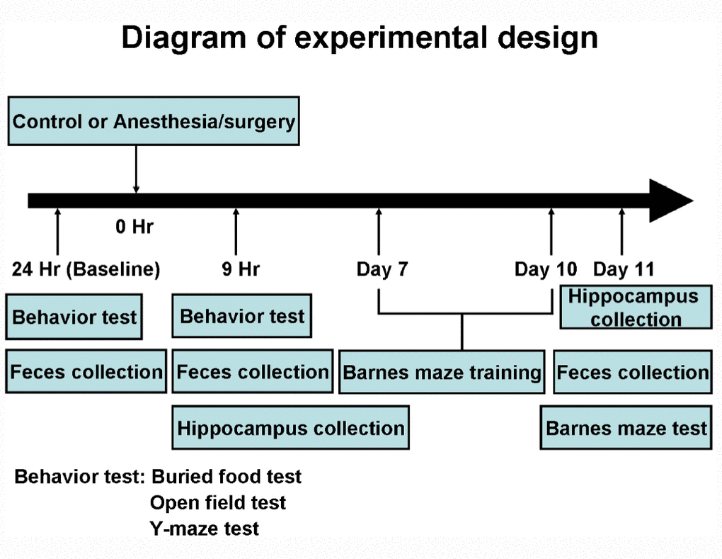 Newsletter January 2022: Editorial – Is anaesthesia mortality a source of  stress for the anaesthesiologist?