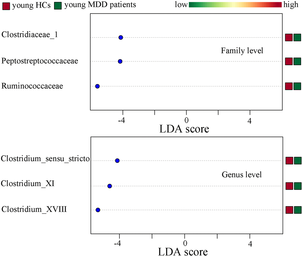 Differentially abundant features identified by LEfSe that characterize significant differences between young HCs (n=27) and young MDD patients (n=25).