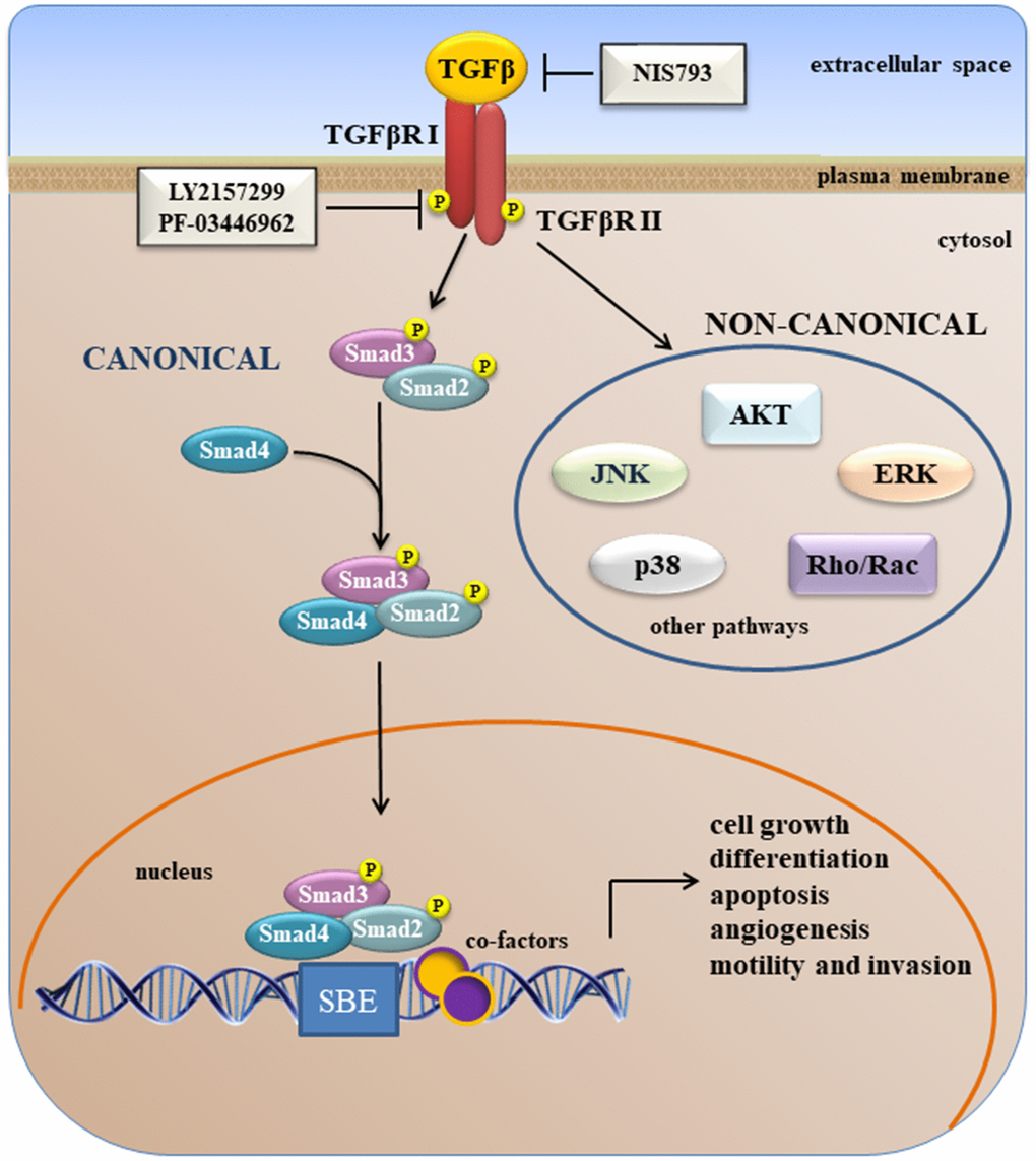 New landscapes and horizons in hepatocellular carcinoma therapy 