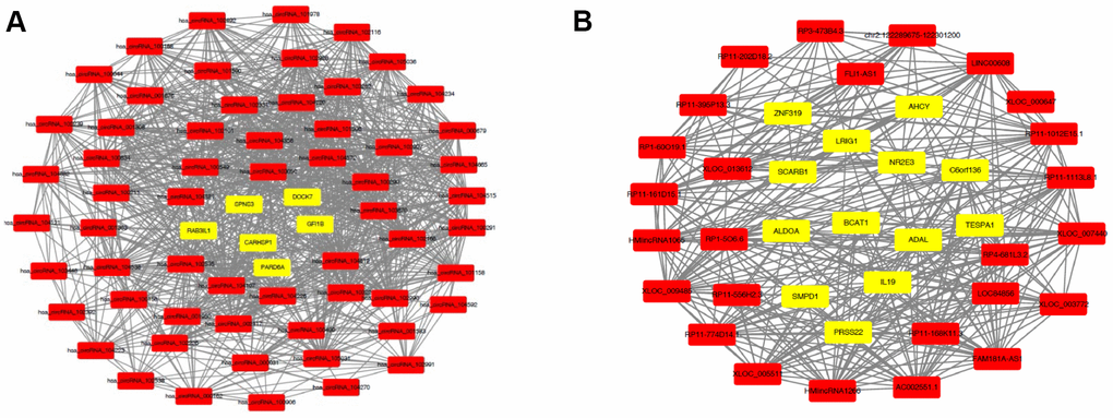 Coexpression networks constructed by weighted correlation network analysis. Different colors of dots were used to show different types of genes, with yellow for mRNAs and red for lncRNAs (A) or circRNAs (B).