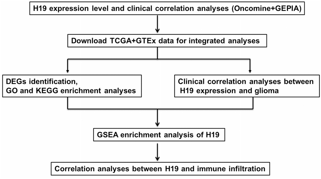 The pipeline designed for this work. Abbreviations: TCGA: The Cancer Genome Atlas; DEGs: differentially expressed genes; GO: gene ontology; KEGG: Kyoto Encyclopedia of Genes and Genomes; GSEA: gene set enrichment analysis.
