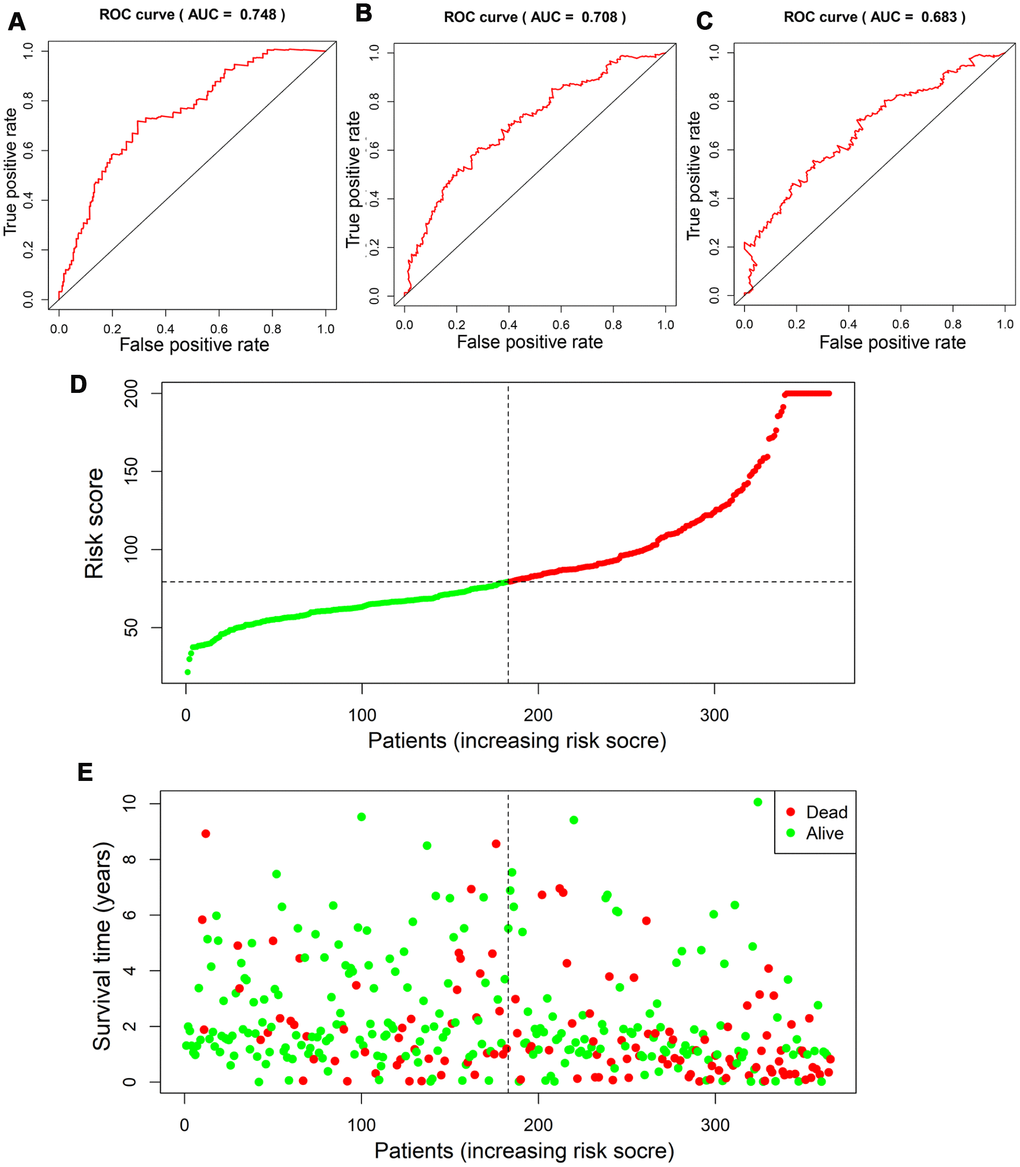 Assessment of prognostic value of risk score in the derivation cohort. Time-dependent ROC analysis showed the diagnostic value of risk score at 1 year, 3 years and 5 years after diagnosis (A–C). Scatter plots showed that different risk scores indicated different survival outcomes in patients with HCC (D, E).