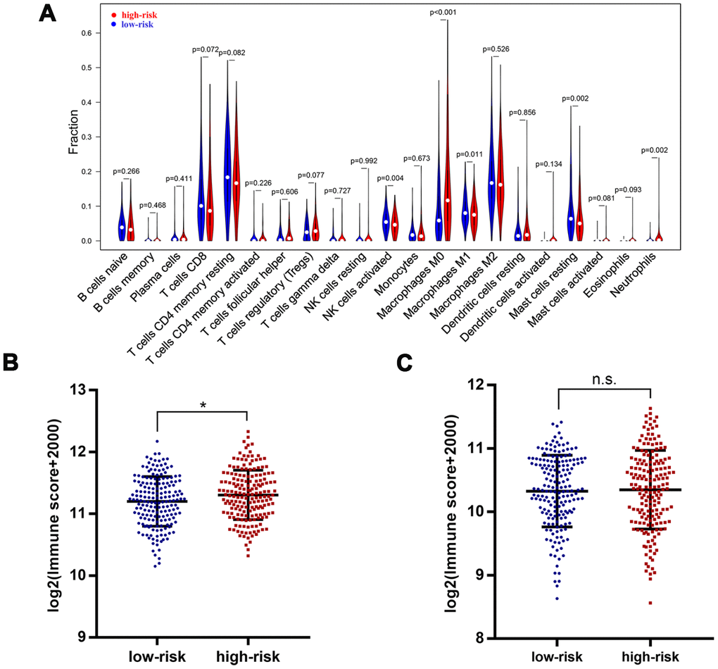 Immune features in different risk groups. Violin plot showed tumor-infiltrating immune cells feature in different risk groups (A). A significantly higher immune score was observed in patients of high-risk group (B), but there was no significant difference for stromal score (C). *, P