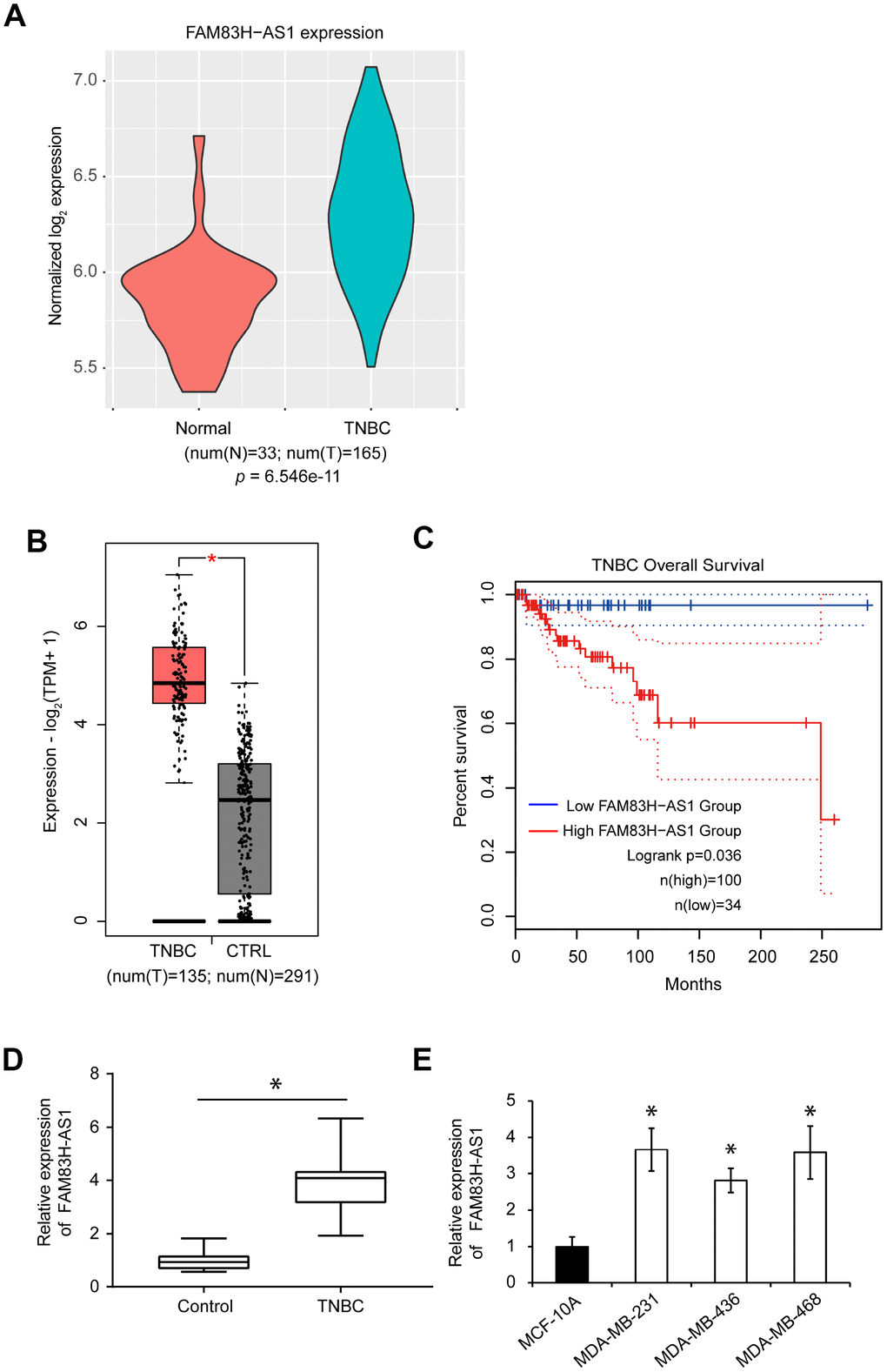 FAM83H-AS1 is upregulated in TNBC tissues and predicts worse overall survival. (A) Expression profiles of FAM83H-AS1 in TNBC and normal breast tissues using the human lncRNA microarray dataset GSE76250. The p value was calculated by Wilcoxon rank-sum test. (B) Expression profiles of FAM83H-AS1 in TNBC and normal breast tissues using the GEPIA 2 dataset. (C) Overall survival rates in low and high FAM83H-AS1 expression groups in TNBC patients using the GEPIA2 dataset. (D) qRT-PCR of FAM83H-AS1 expression in human TNBC and adjacent control tissues. (E) qRT-PCR of FAM83H-AS1 mRNA in MDA-MB-231, MDA-MB-436, MDA-MB-468, and MCF-10A cells.