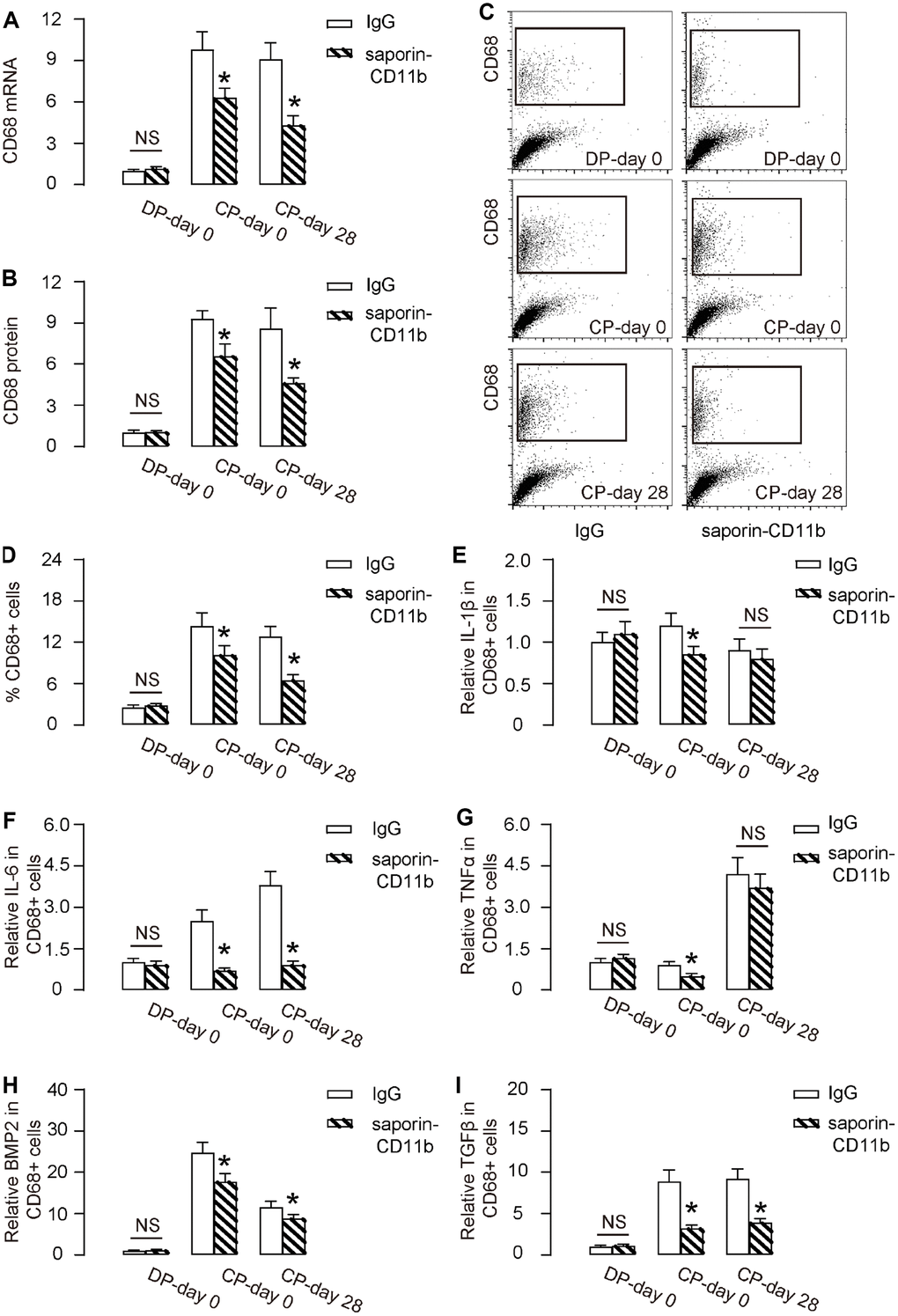 Saporin-CD11b reduces macrophages increase during DO. (A, B) RT-qPCR for CD68 mRNA (A) and ELISA for CD68 protein (B) in regenerating bone tissue from saporin-CD11b-treated mice or control IgG-treated mice. (C, D) FACS for CD68+ cells in regenerating bone tissue saporin-CD11b-treated mice or control IgG-treated mice by representative flow charts (C), and by quantification (D). (E–I) ELISA for IL-1β (E), IL-6 (F), TNFα (G), BMP2 (H) and TGFβ (I) from FAC-sorted CD68+ macrophages. DP-day 0: day 0 of distraction phase, CP-day 0: day 0 of consolidation phase, CP-day 28: day 28 or consolidation phase. *p