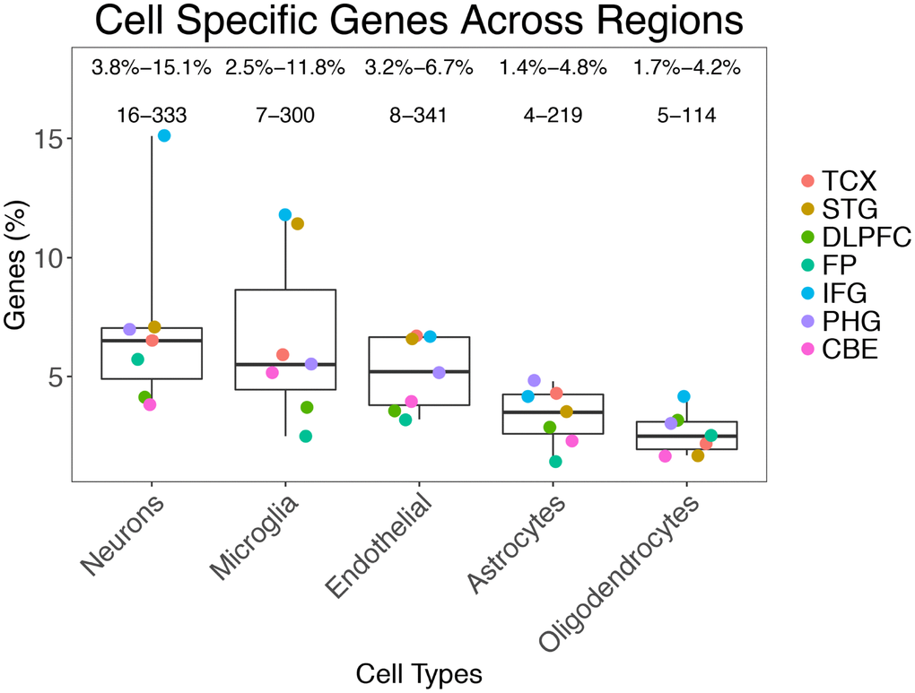 Prevalence of gene classes expressed in different cells across the brain regions analyzed.