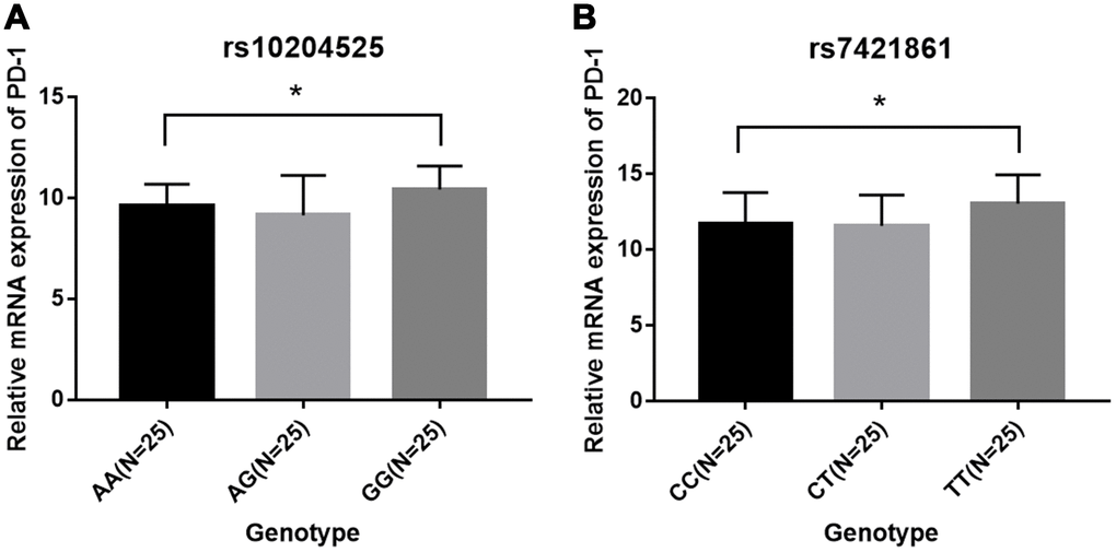 Relative PD-1 mRNA expression among patients in each genotype group. (A) rs10204525; (B) rs7421861.
