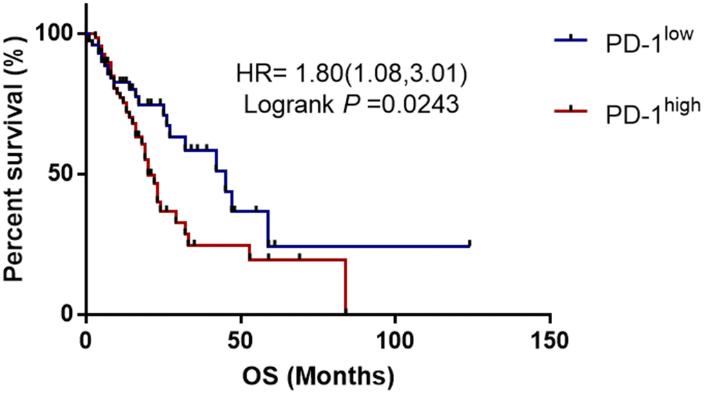 Kaplan-Meier survival curves demonstrating the association between PD-1 expression and overall survival among esophageal cancer patients.