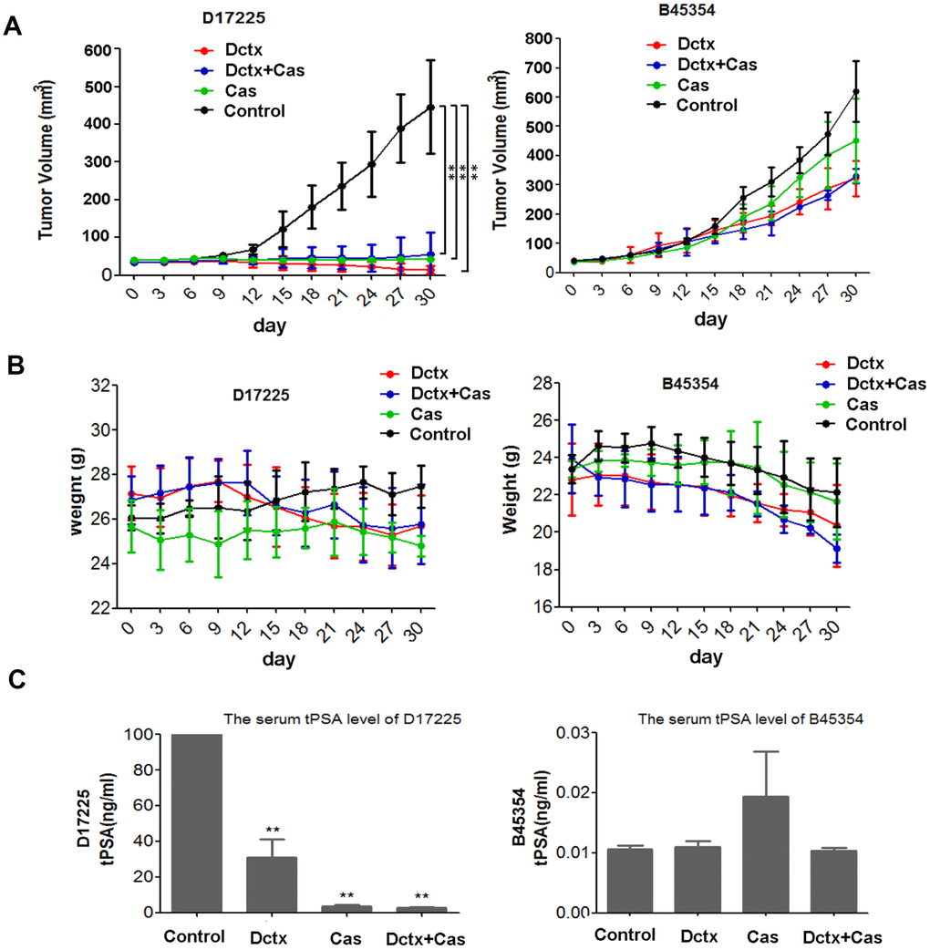 Responses to castration and docetaxel in PDX models. Change in the (A) tumor volume and (B) weight of PDX models after treatment at various time points. (C) Serum tPSA levels in mice bearing PDX tumors after treatment for 30 days. **P 